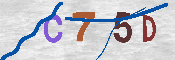 CAPTCHA Bild